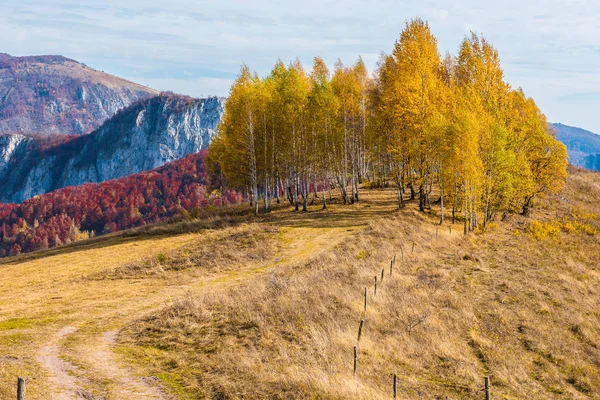 Colorful Autumn Landscape Apuseni Mountains Transylvania Romania — Stock Photo, Image