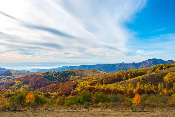 Färgglada Höstlandskap Apuseni Bergen Transsylvanien Rumänien — Stockfoto