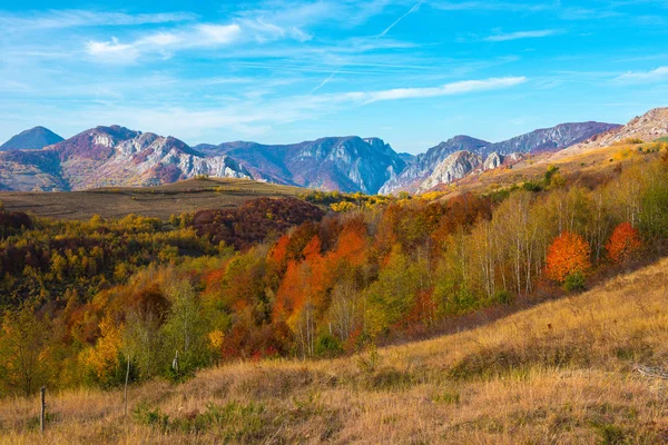 Sonbahar Kırsal Panorama Dağlarda Renkli Yeşillik Ile Orman Transilvanya Romanya — Stok fotoğraf