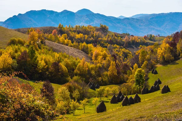 ルーマニア トランシルヴァニアの秋の風景 紅葉の森 田園地帯の丘 — ストック写真