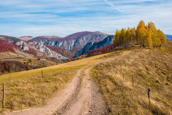 Escena Otoño Los Alpes Transilvanos Rumania Bosque Follaje Colorido Colinas —  Fotos de Stock