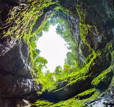 Scarisoara buz mağarası girişi, Apuseni dağları, Romanya. 