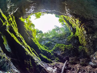 Scarisoara buz mağarası girişi, Apuseni dağları, Romanya. 