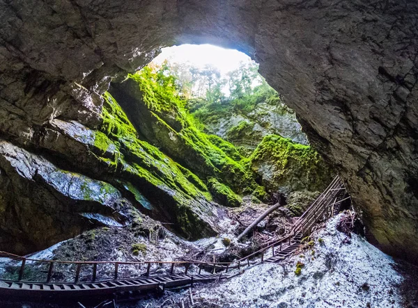 Scarisoara Entrada Caverna Gelo Montanhas Apuseni Roménia — Fotografia de Stock