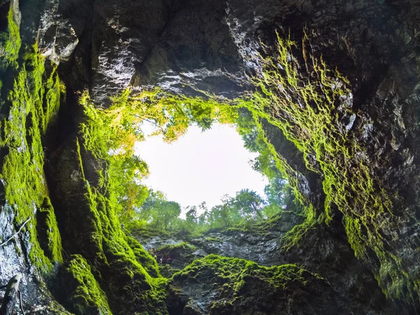 Scarisoara ice cave entrance, Apuseni mountains, Romania.