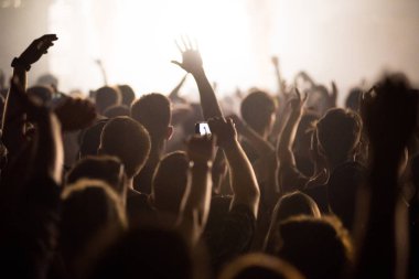 Festival kalabalık ellerini yükselterek arka görünümü