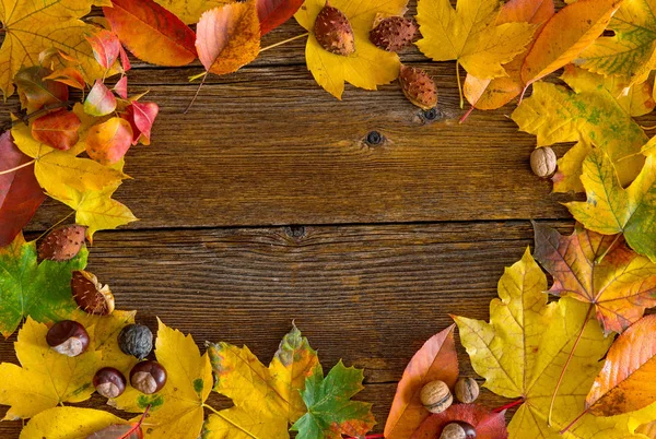 Autumn Leaves Chestnuts Nuts Wooden Background Space Text — Stock Photo, Image