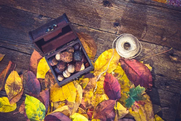 Autumn Background Colorful Leaves Treasure Box Full Nuts Chestnuts Harvest — Stock Photo, Image