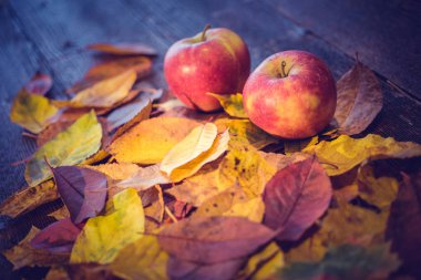 Elma ve ahşap masa yapraklarda ile hasat ya da Şükran günü geçmiş. Vintage etkisi