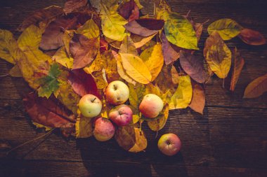 Elma ve ahşap masa yapraklarda ile hasat ya da Şükran günü geçmiş. Vintage etkisi