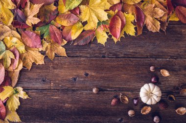 Sonbahar natürmort kavramı arka plan. Yapraklar sonbaharda, Masa üstü goodies hasat. Metin, Şükran günü kartpostal için yer