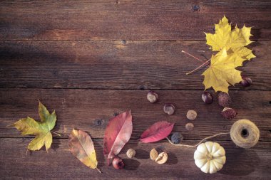 Sonbahar natürmort kavramı arka plan. Yapraklar sonbaharda, Masa üstü goodies hasat. Metin, Şükran günü kartpostal için yer