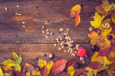 Sonbahar natürmort kavramı arka plan. Yapraklar sonbaharda, Masa üstü goodies hasat. Metin, Şükran günü kartpostal için yer