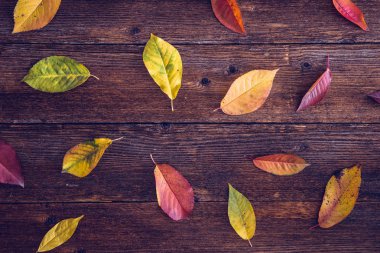 Ahşap masa üzerinde renkli yaprakları ile sonbahar kompozisyon