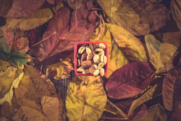 Différents Types Noix Dans Petits Bols Sur Les Feuilles Automne — Photo