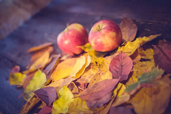 Zbiorów Lub Dziękczynienia Tło Jabłka Liści Drewnianym Stole Vintage Efekt — Zdjęcie stockowe
