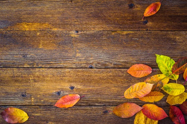 Efterårssammensætning Med Farverige Blade Træbord - Stock-foto