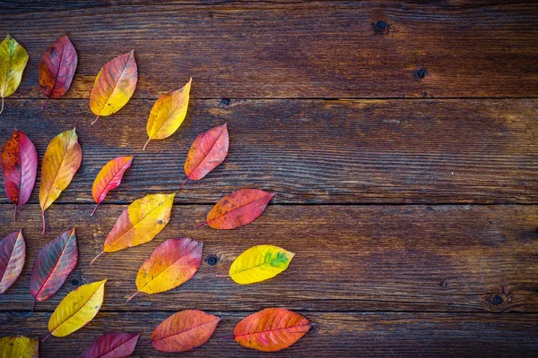 Autumn Composition Colorful Leaves Wooden Table — Stock Photo, Image