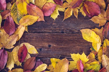 Sonbahar yapılan çerçeve ahşap arka plan kopya alanı ile üzerinde bırakır