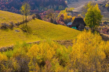 Transilvanya Alpleri, Romanya sonbahar sahne. Renkli yeşillik orman, kırsal hills
