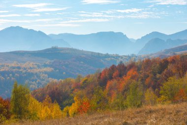 Sonbahar manzara renkli ağaçlar ile. Carpathains, Romanya düşmek