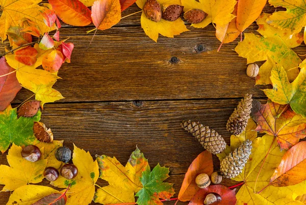 Frame Vivid Colorful Autumn Leaves Wooden Desk Vintage Seasonal Background — Stock Photo, Image