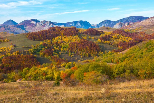 Apuseni 山上五彩缤纷的秋景 特兰西瓦尼亚 罗马尼亚 — 图库照片