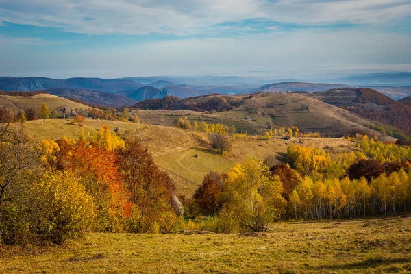 Landskap Pulserande Höstlig Fjällskog Transsylvanien Rumänien — Stockfoto
