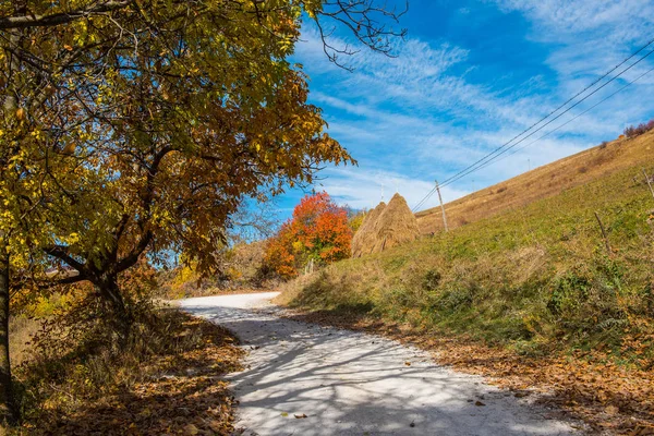 Herbst Transsilvanien Farbenfroher Laubwald Den Bergen Rumänien — Stockfoto