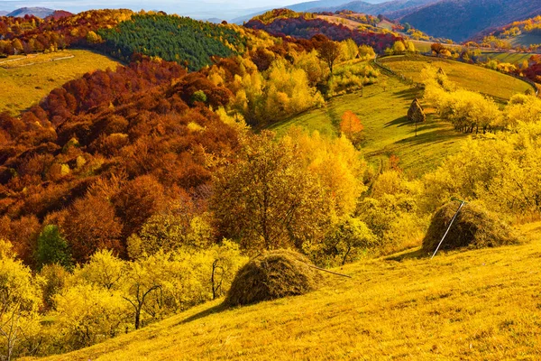 Panorama Campagne Automne Montagne Forêt Feuillage Coloré Transylvanie Roumanie — Photo