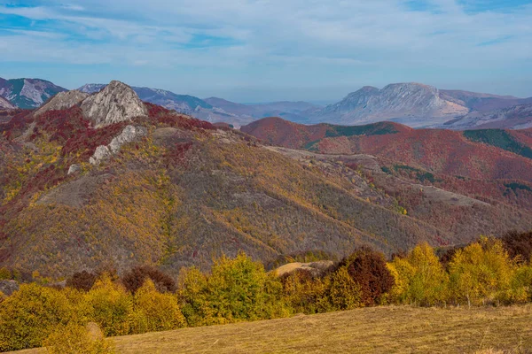 Herfst Landschap Met Kleurrijke Bomen Vallen Carpathains Roemenië — Stockfoto