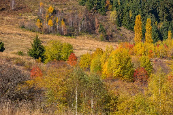 Paesaggio Autunnale Colorato Sulle Montagne Apuseni Transilvania Romania — Foto Stock