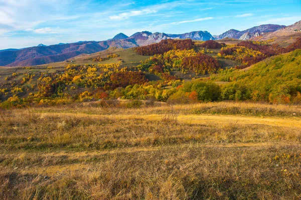 Herbstliches Landschaftspanorama Den Bergen Wald Mit Buntem Laub Transsilvanien Rumänien — Stockfoto