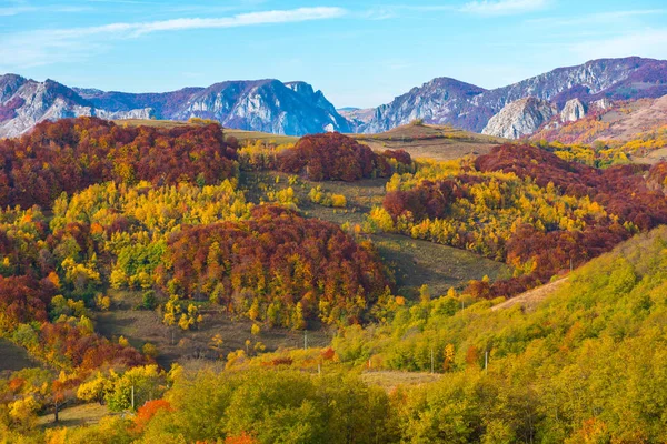 カラフルな木々 の秋の風景 Carpathains ルーマニアに落ちる — ストック写真