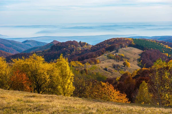 Hösten Scen Transsylvanska Alperna Rumänien Färgglada Lövverk Skog Landsbygd Kullar — Stockfoto