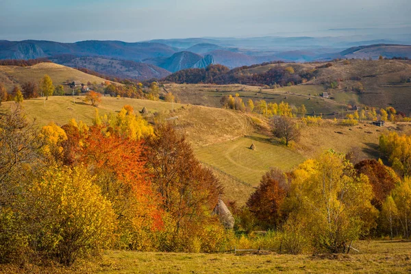 Jesienny Krajobraz Kolorowych Drzew Zakochać Się Carpathains Rumunia — Zdjęcie stockowe