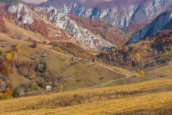 Majestosa Paisagem Com Árvores Outono Floresta Colorida Queda Transilvânia Roménia — Fotografia de Stock