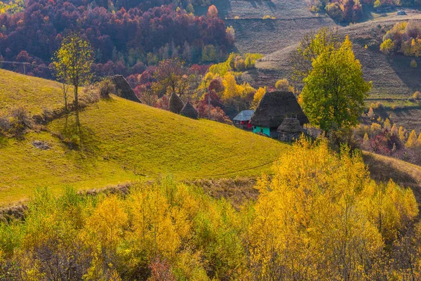 Landscape Vibrant Autumnal Mountain Forest Transylvania Romania — Stock Photo, Image