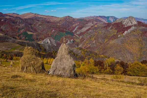 Outono Transilvânia Floresta Folhagem Colorida Nas Montanhas Roménia — Fotografia de Stock