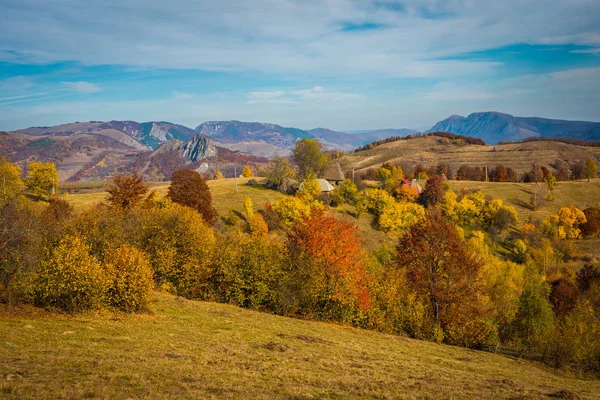 Herbstlandschaft Mit Bunten Bäumen Sturz Den Karpaten Rumänien — Stockfoto