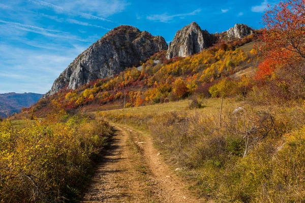 Majestueus Landschap Met Herfst Bomen Het Bos Kleurrijke Herfst Transsylvanië — Stockfoto