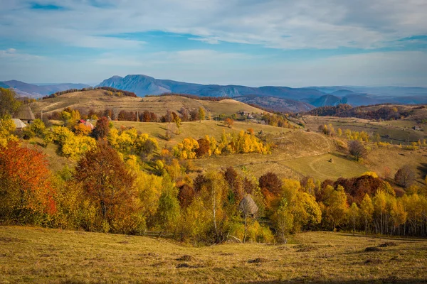 Colorido Paisaje Otoñal Las Montañas Apuseni Transilvania Rumanía —  Fotos de Stock