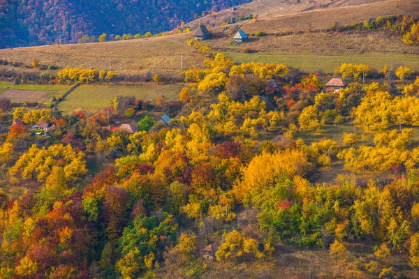 Jesienna Scena Alpach Transylwanii Rumunii Kolorowych Liści Lasu Krajobrazy Wzgórz — Zdjęcie stockowe