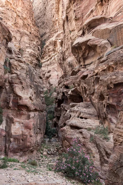 Fornlämningar Nabateanska Staden Petra Jordanien — Stockfoto