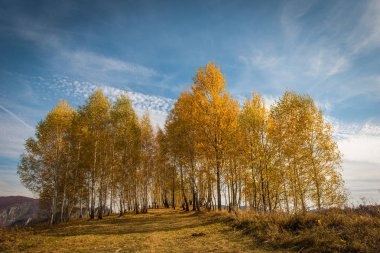 Apuseni dağlarda renkli sonbahar peyzaj. Transilvanya, Romanya