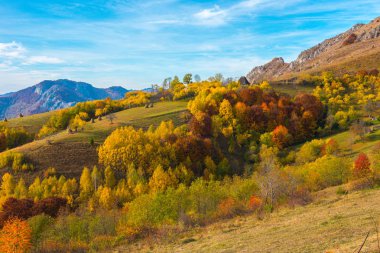 Sonbahar kırsal panorama dağlarda. Renkli yeşillik ile orman. Transilvanya, Romanya