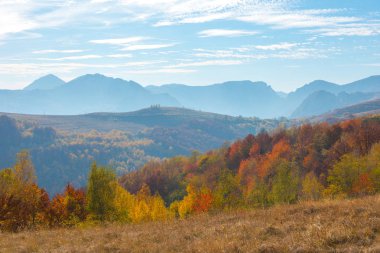 Sonbahar kırsal panorama dağlarda. Renkli yeşillik ile orman. Transilvanya, Romanya