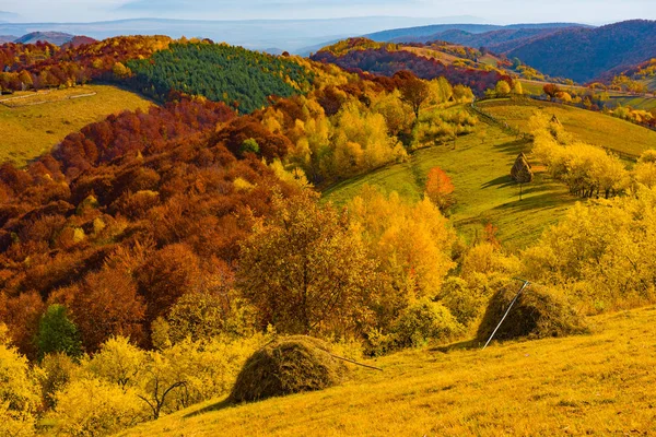 Färgglada Höstlandskap Apuseni Bergen Transsylvanien Rumänien — Stockfoto