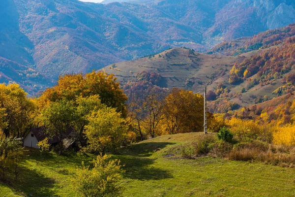 Outono Transilvânia Floresta Folhagem Colorida Nas Montanhas Roménia — Fotografia de Stock