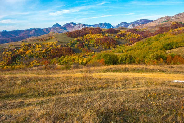 Färgglada Höstlandskap Apuseni Bergen Transsylvanien Rumänien — Stockfoto